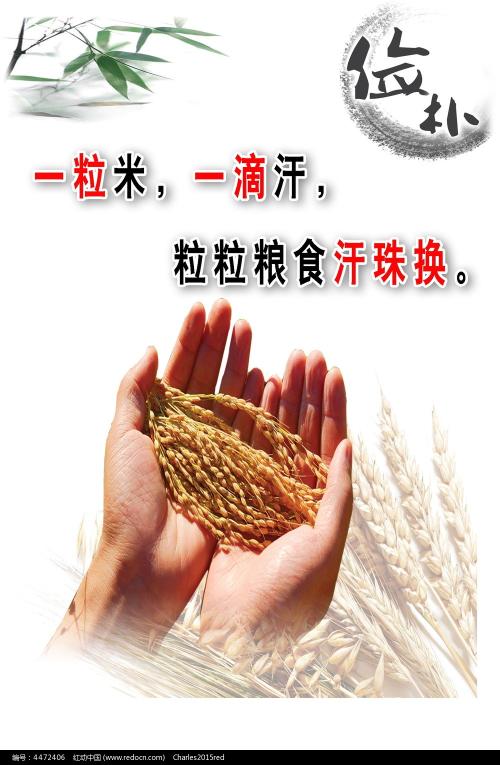 买个物流管理师证